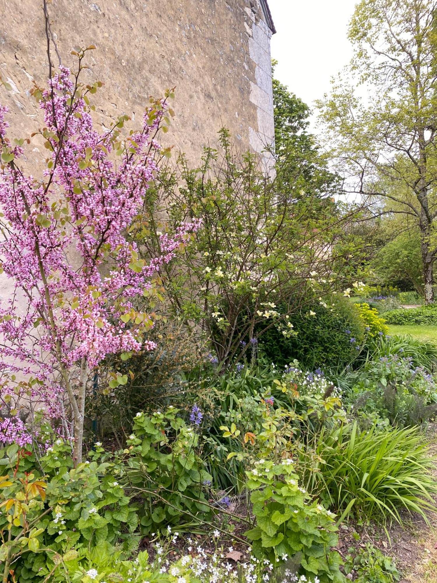 Le Manoir Du Plessis Dance (Orne) Exterior foto