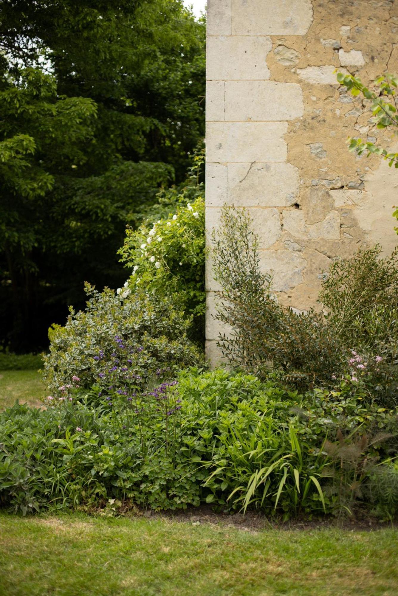 Le Manoir Du Plessis Dance (Orne) Exterior foto
