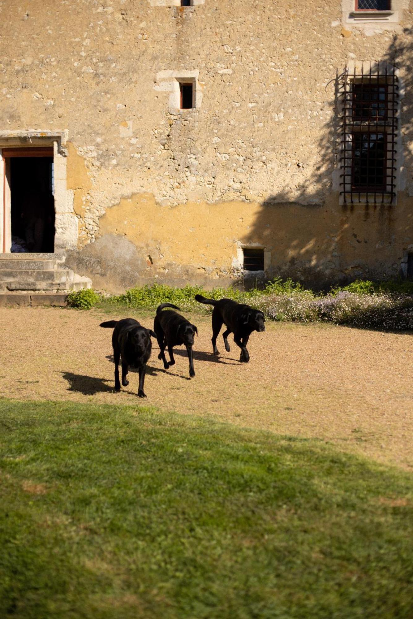 Le Manoir Du Plessis Dance (Orne) Exterior foto